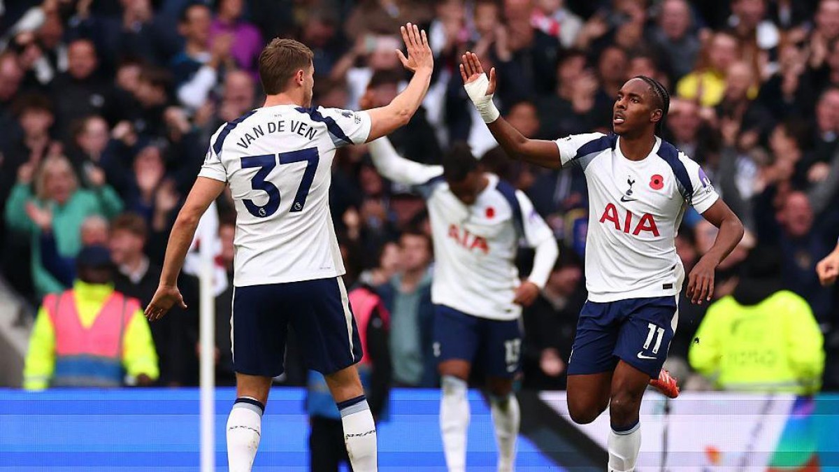 Tottenham Survive Relegation Scare to Secure Premier League Future